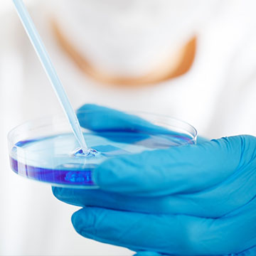 規(guī)范、品控管理